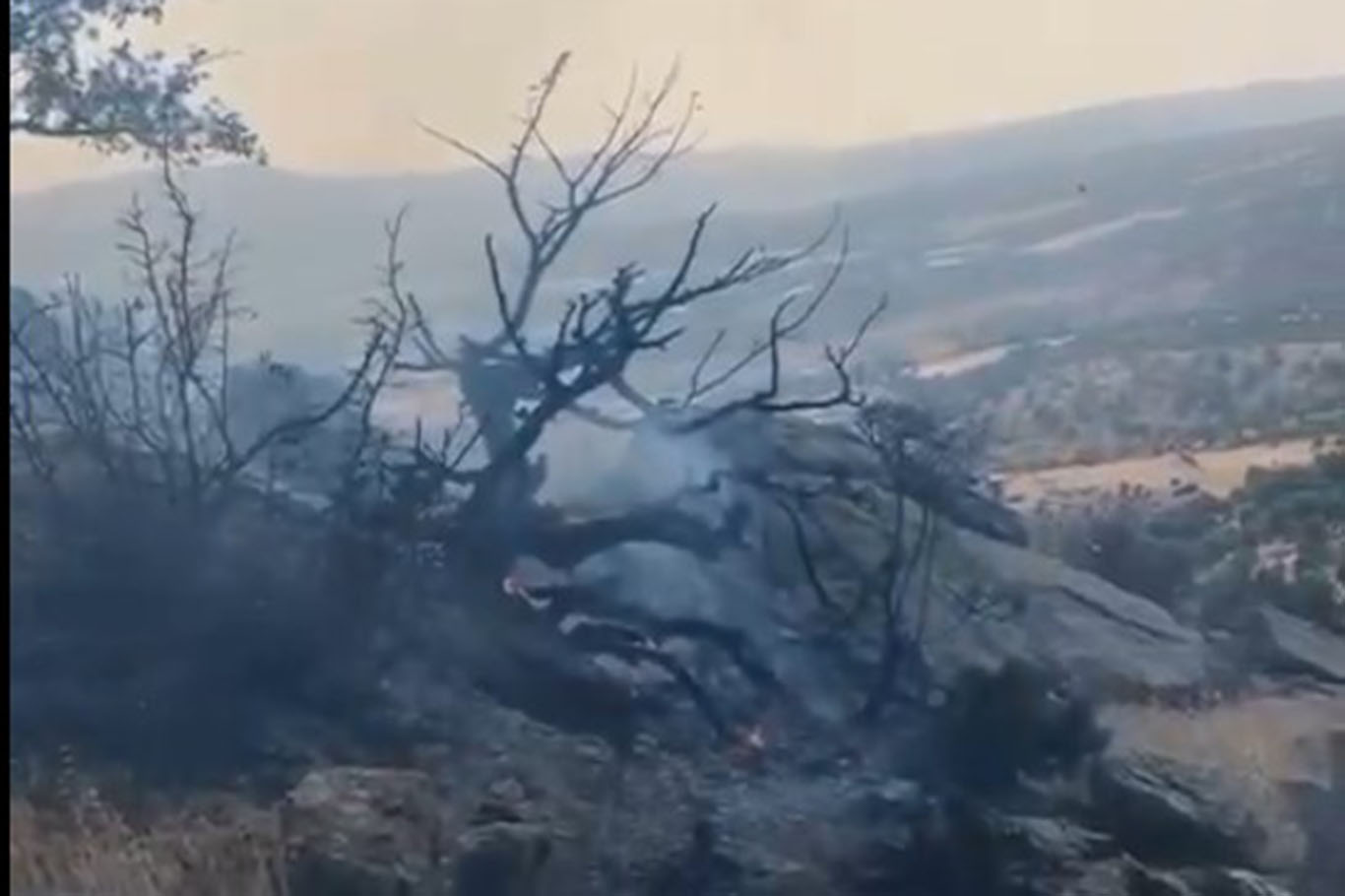Ulaşım güçlüğü yangına müdahaleyi geciktirdi