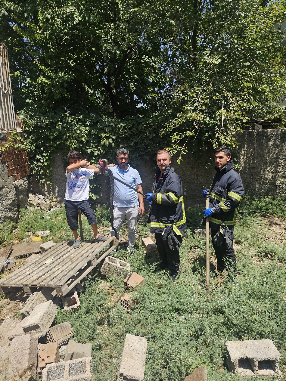 YEŞİLTEPE’DE  YILAN VE AKREP PANİĞİ
