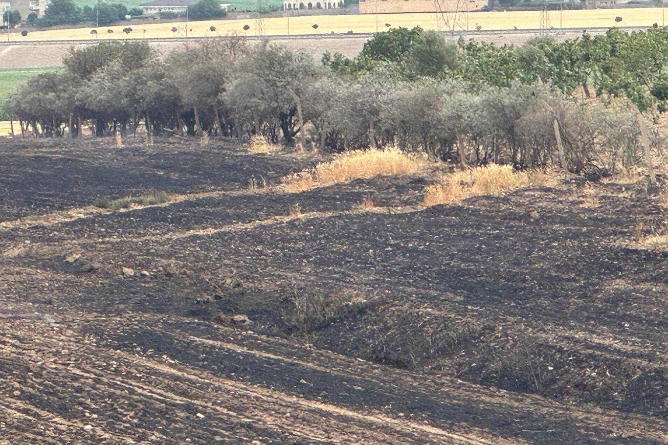 Anız yangınları için meteorolojik risk uyarısı
