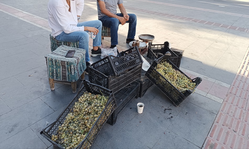 Damda yetiştiriyor, sokakta satıyor!