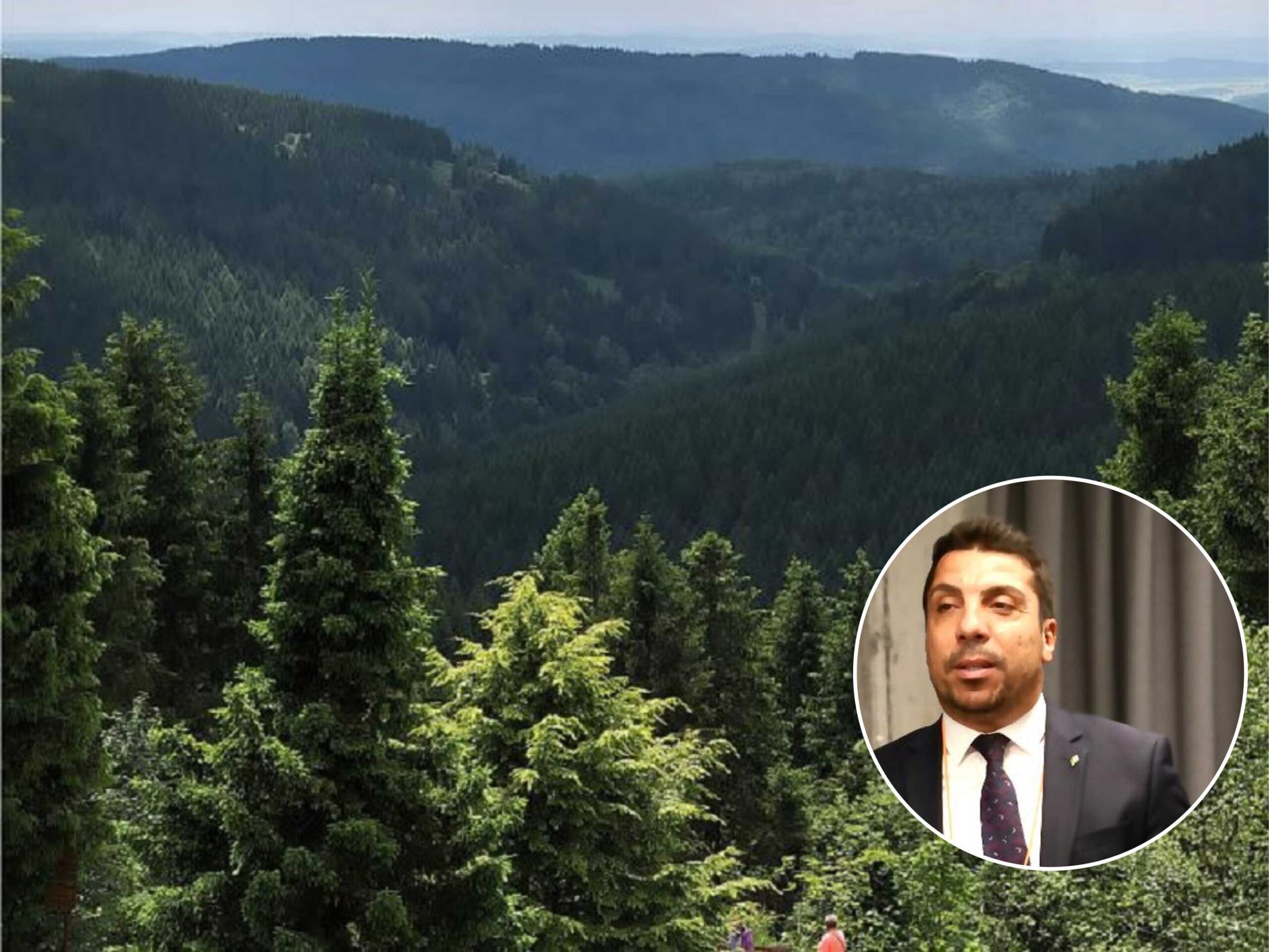 “Kent ormanlarına ihtiyacımız var”
