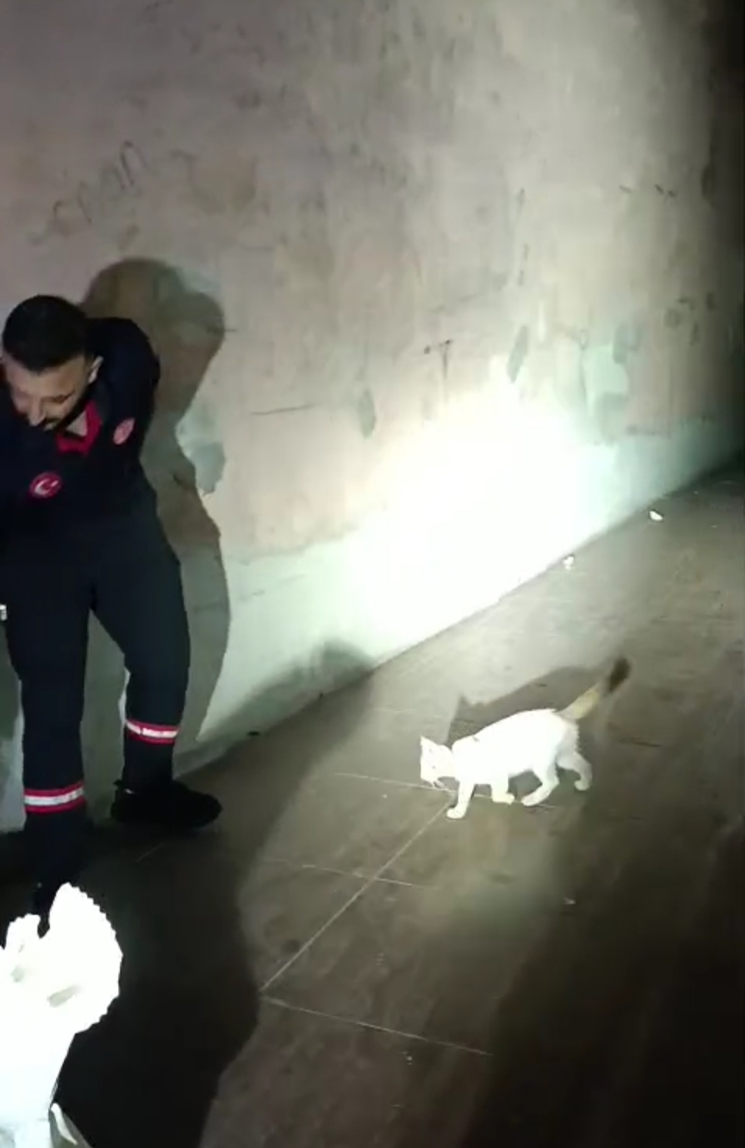İtfaiyeden kedi kurtarma operasyonu
