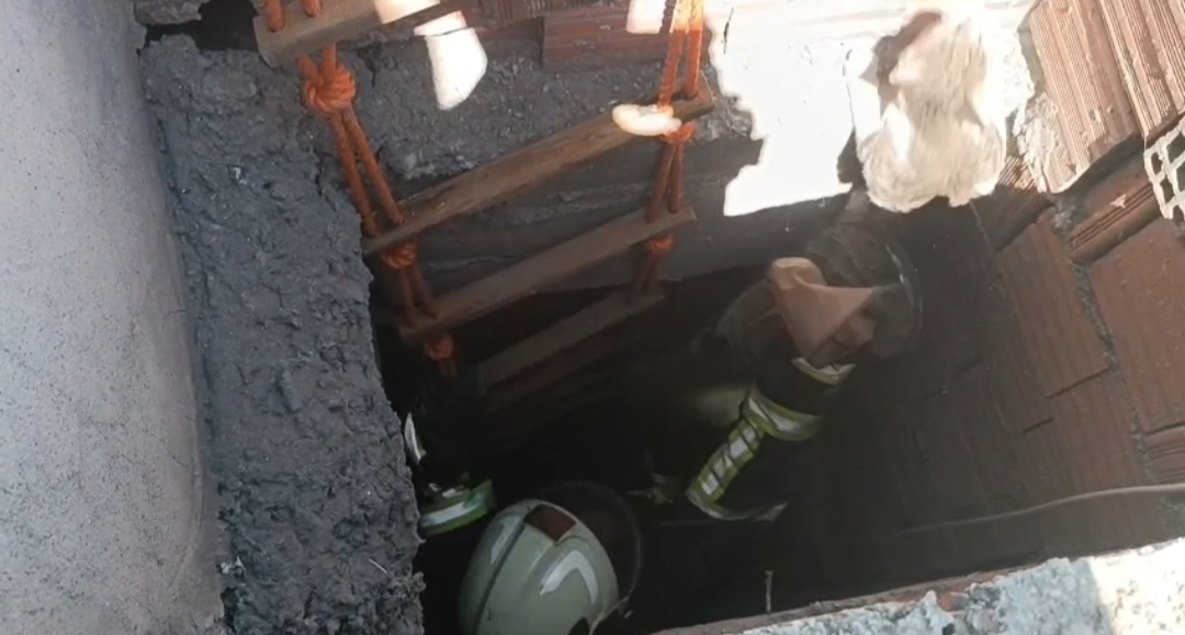 Mahsur kediler kurtarıldı
