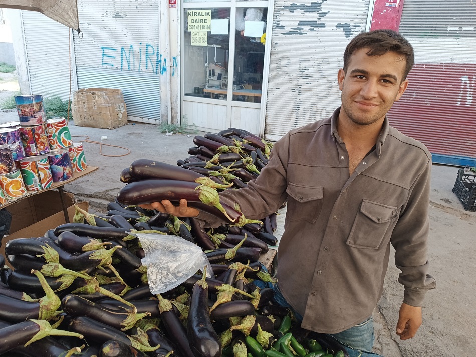 Patlıcan bolluğu fiyatı düşürdü
