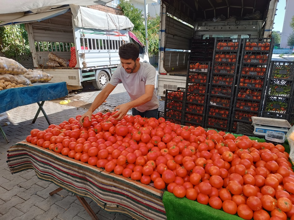 Pazarda Amasya domatesine rağbet