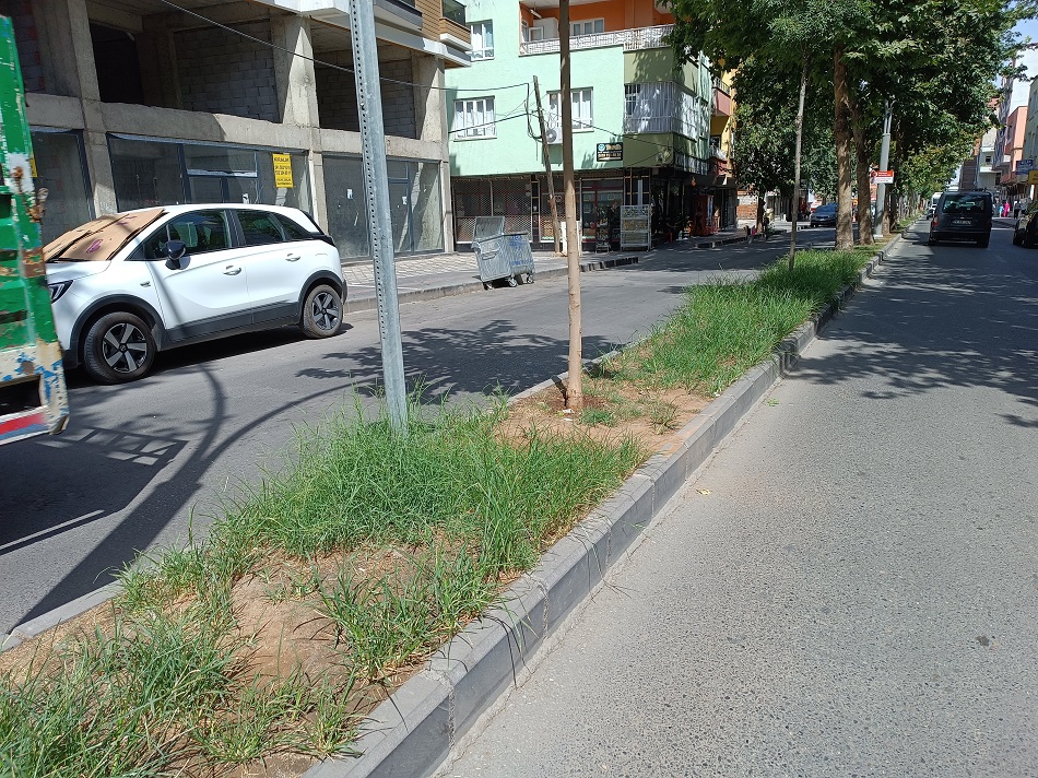 Refuj otları estetiği bozuyor