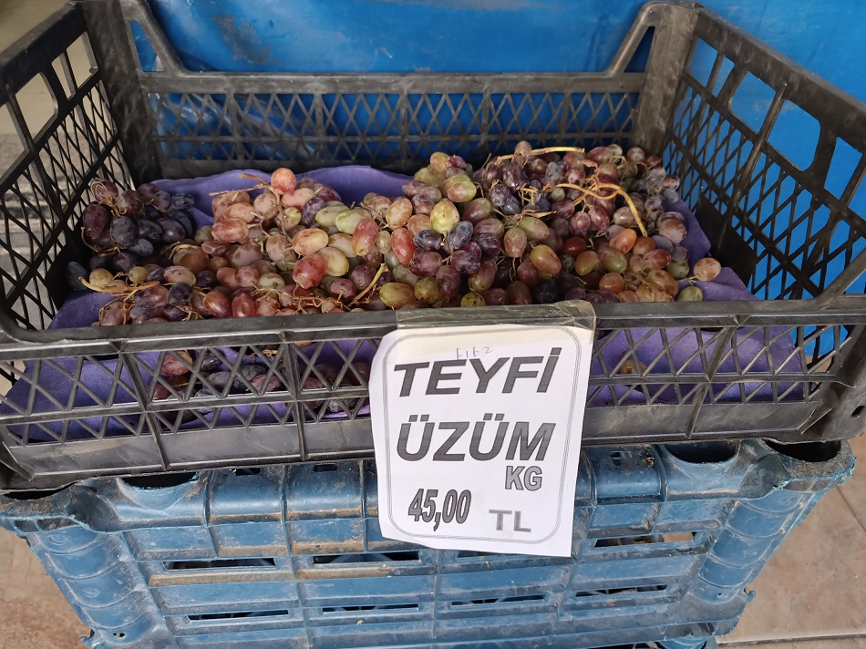 Tayfi üzümü 45 lira