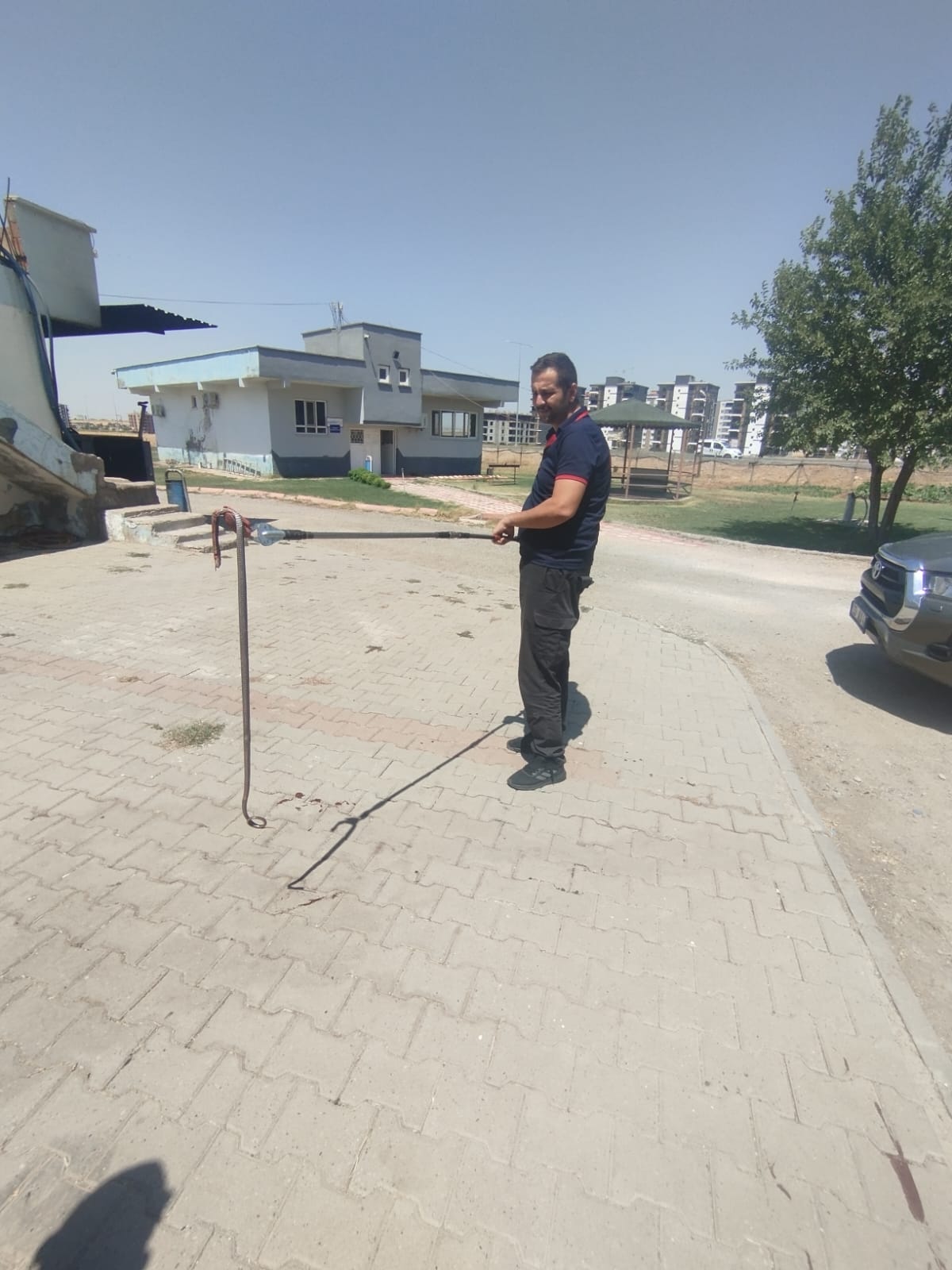 Tekstil deposunda yılan paniği