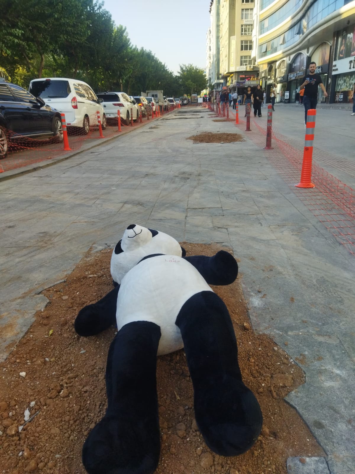 ‘Oyuncak ayı’lı protesto