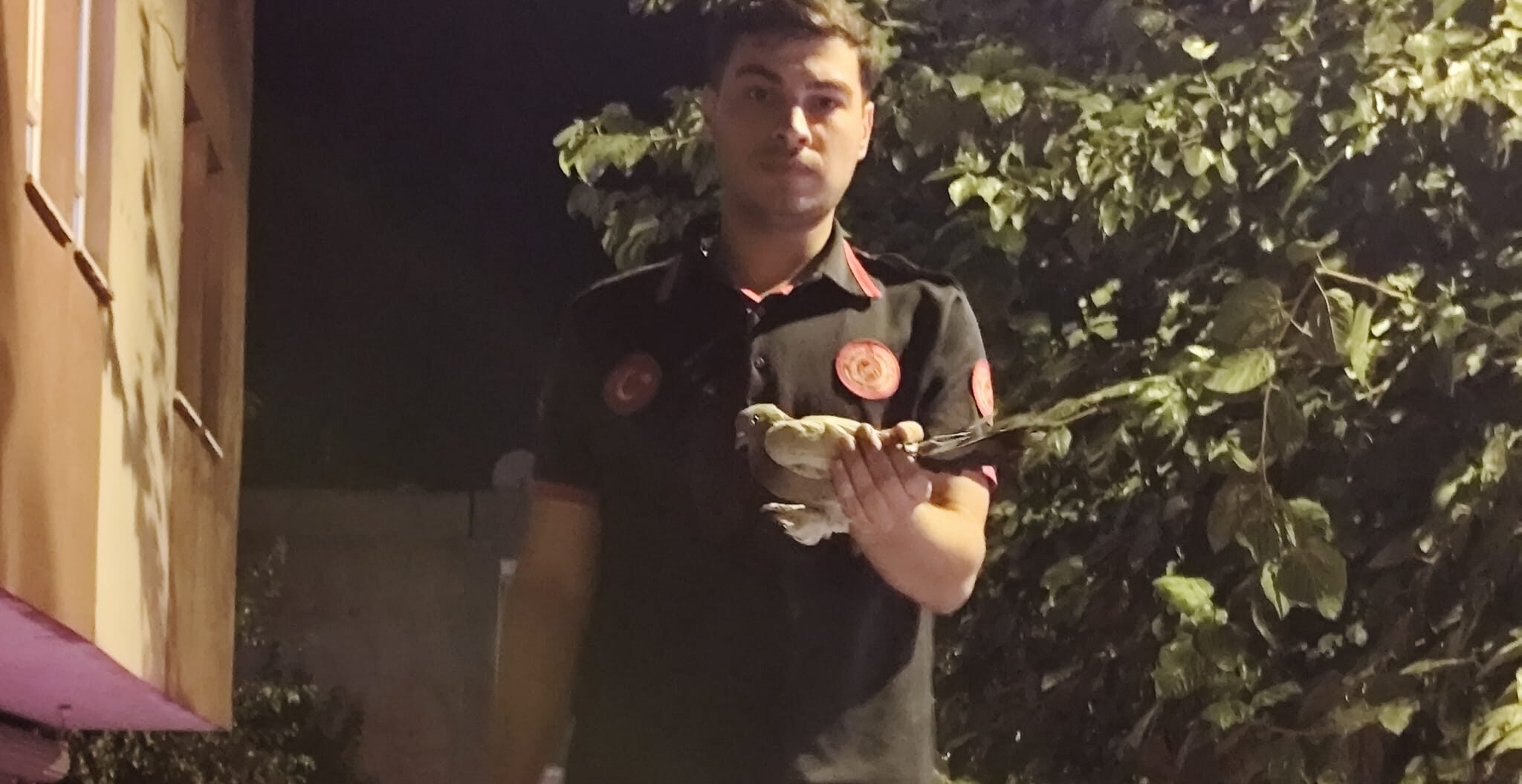 Ağaçta asılı kalan güvercin kurtarıldı