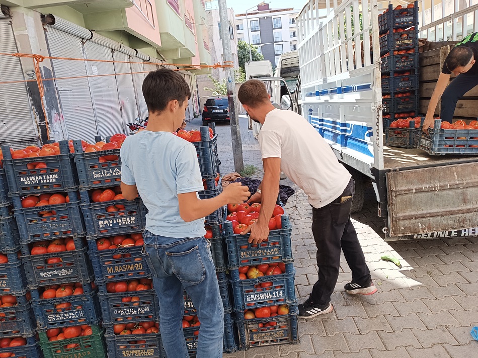 Ahlat domatesine yoğun ilgi