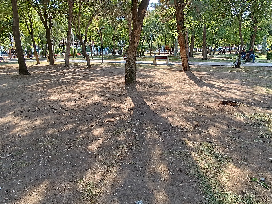 Atatürk Parkı kuraklaşıyor!