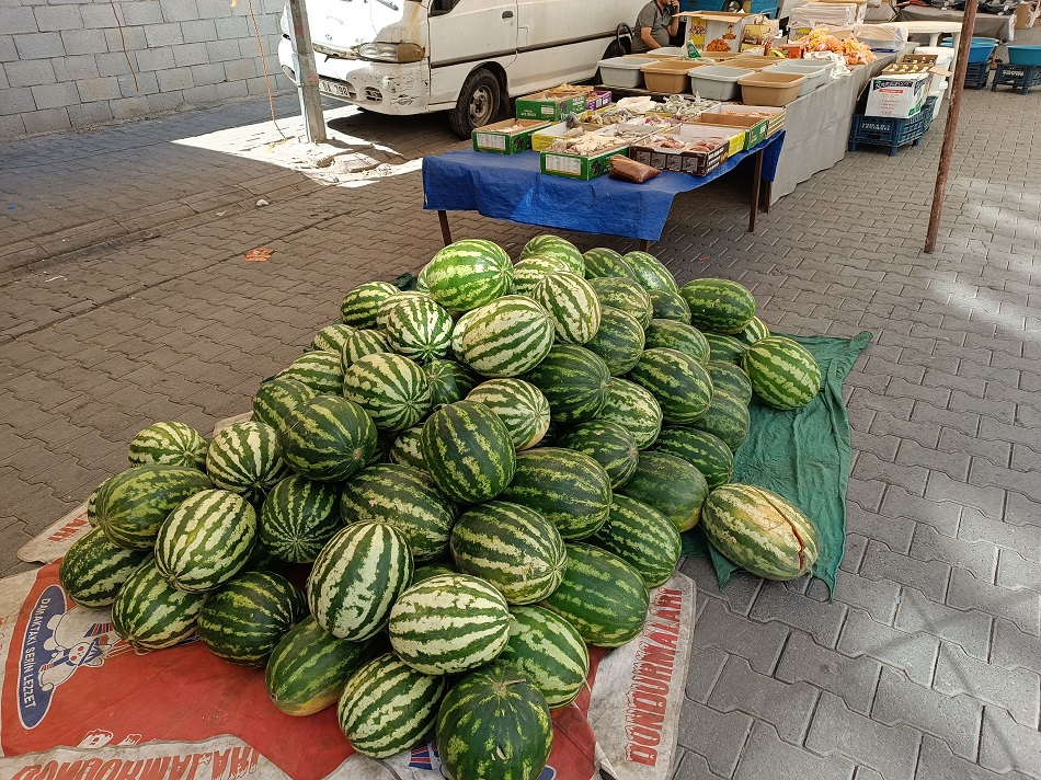 Beşiri karpuzu görücüye çıktı