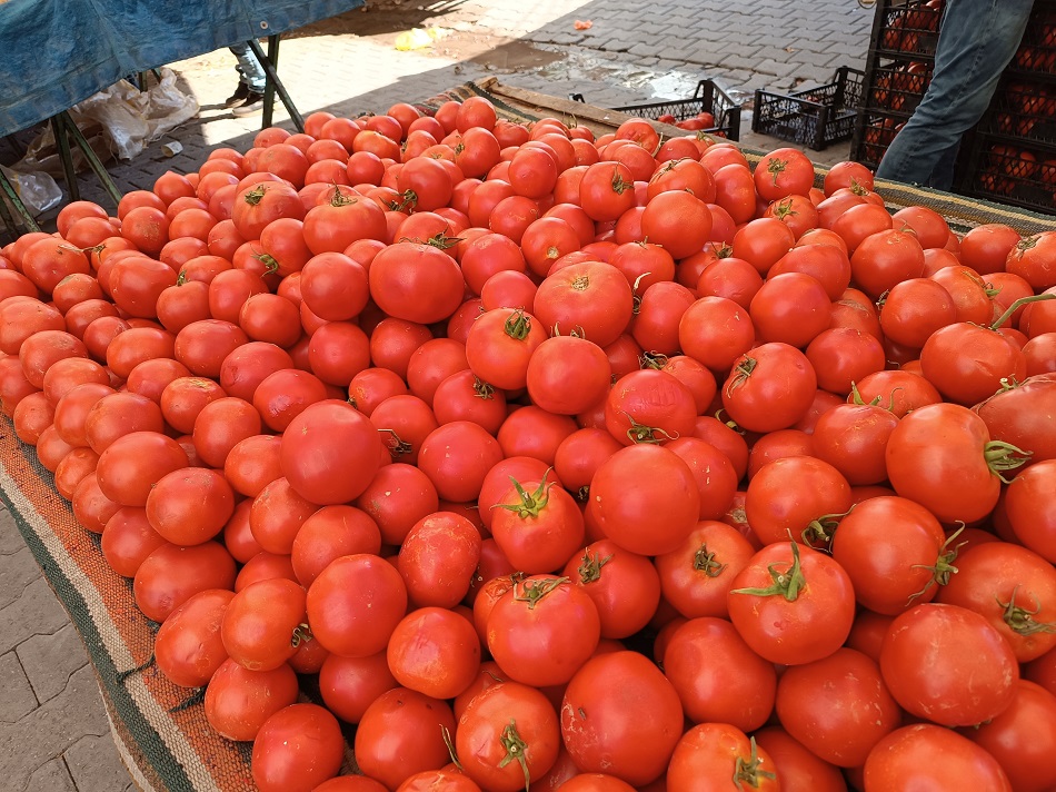 Diyarbakır domatesi 15 lira