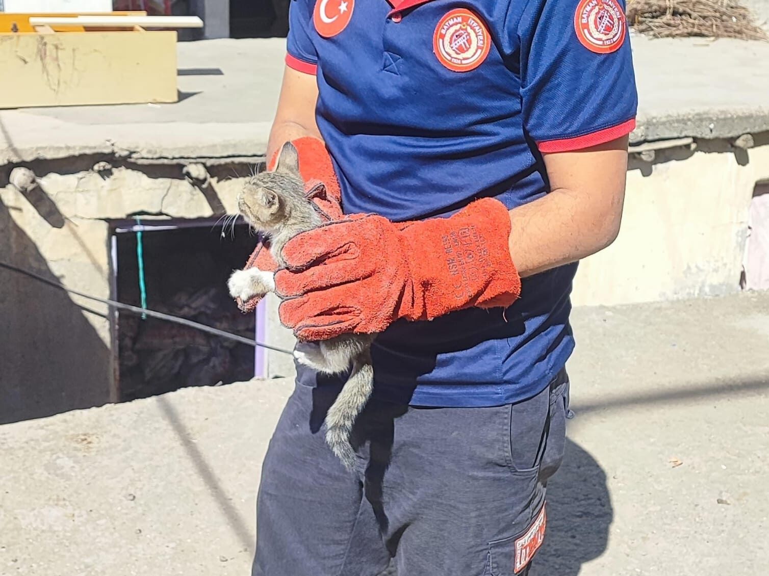 Duvara sıkışan kedi kurtarıldı