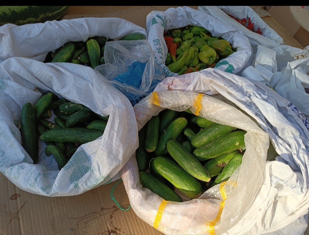 Köy Salatalıkları Tezgâhlarda