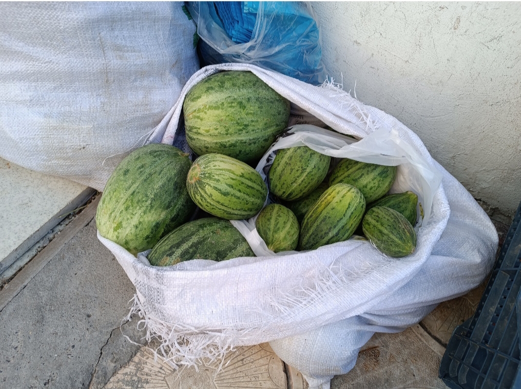 Köy acuruna yoğun ilgi