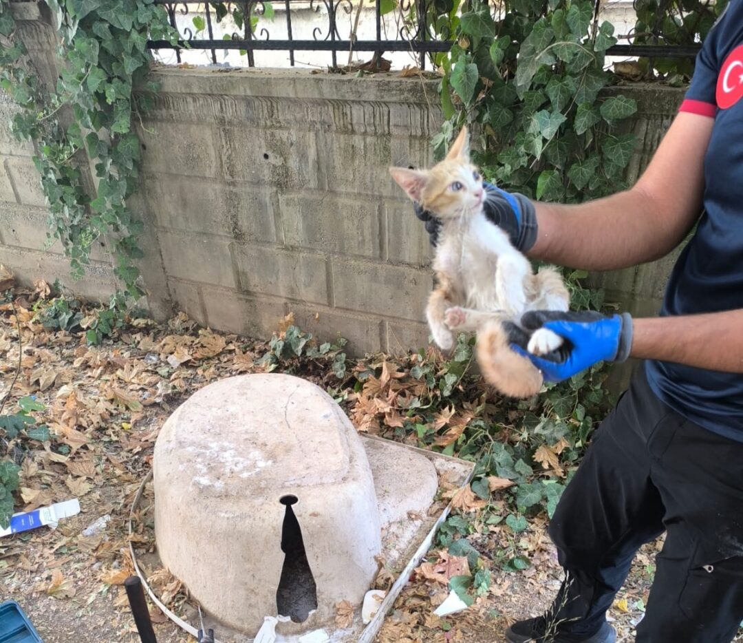 Küvete sıkışan kedi kurtarıldı