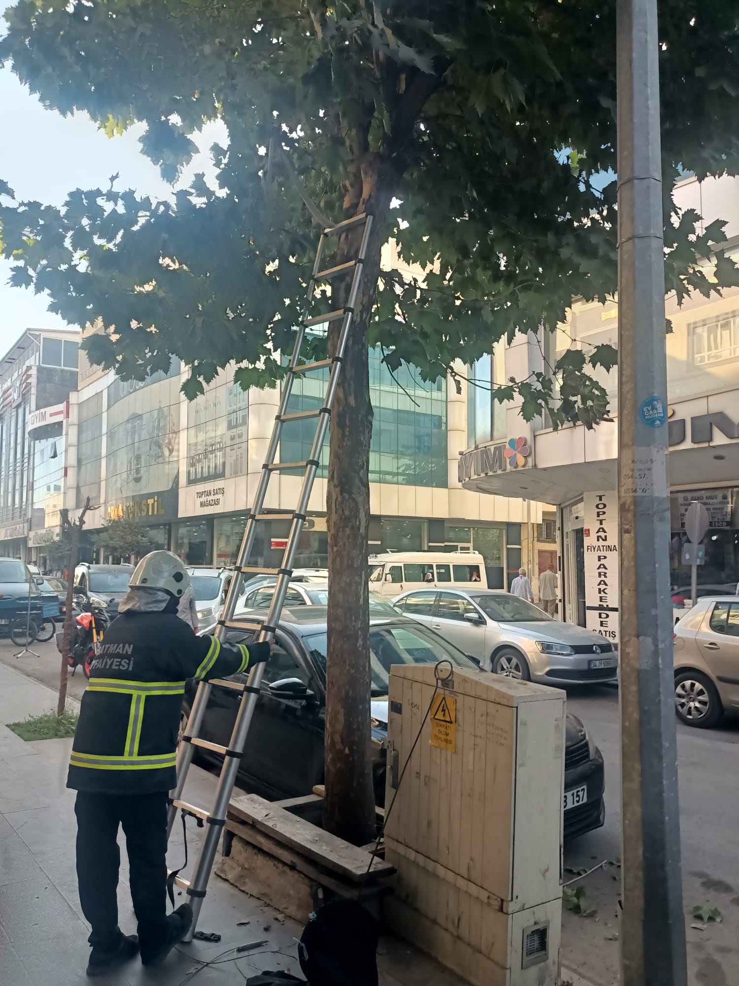 Mahsur kalan kedi kurtardılar