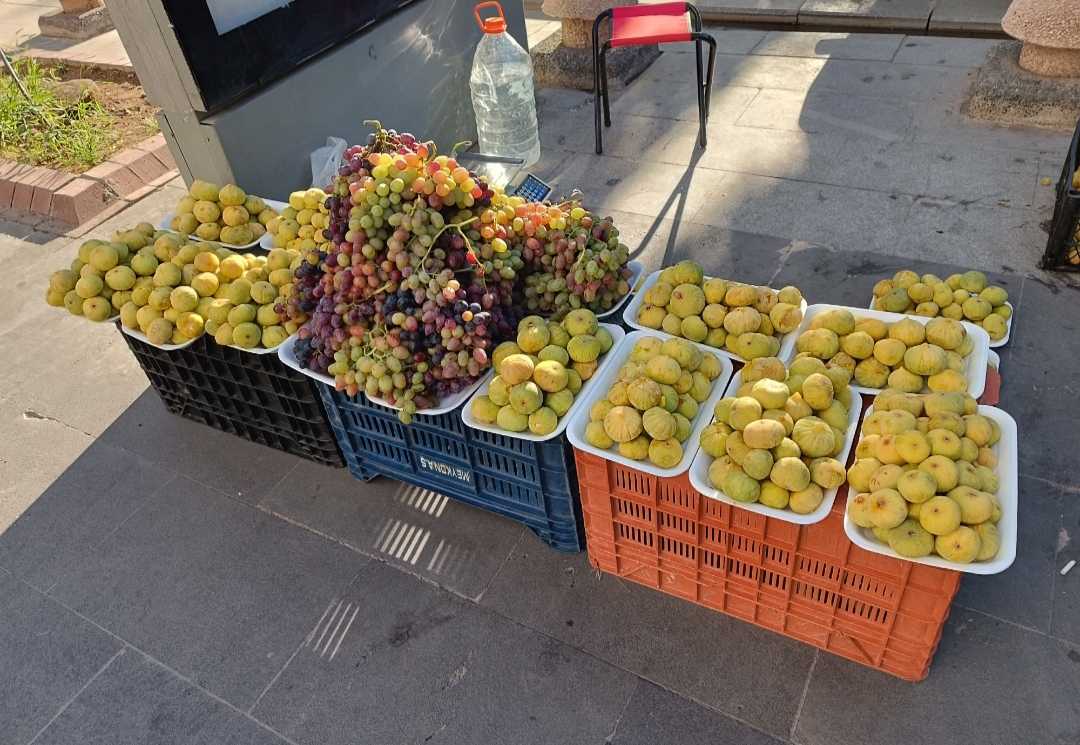 Marvaniye üzüm ve inciri kapış kapış