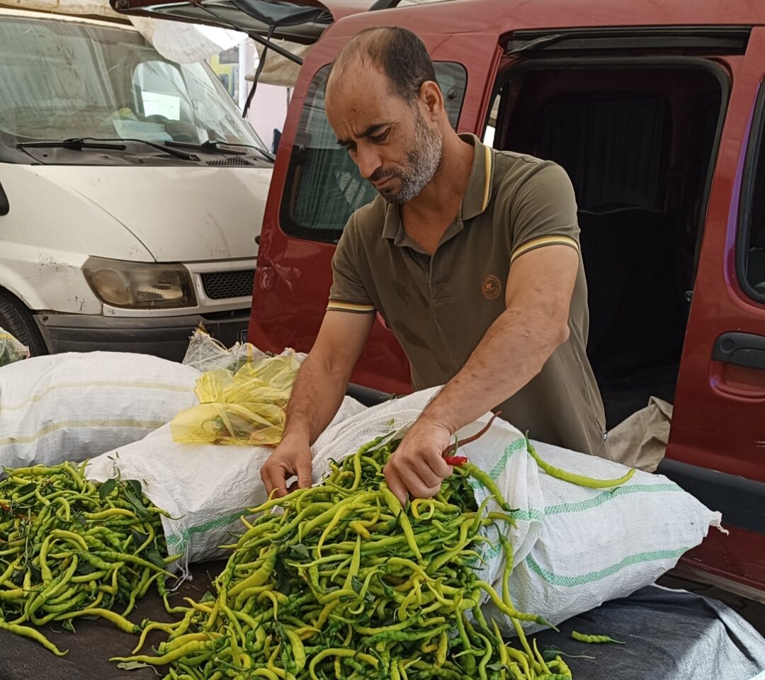 Mazıdağı biberleri kapış kapış