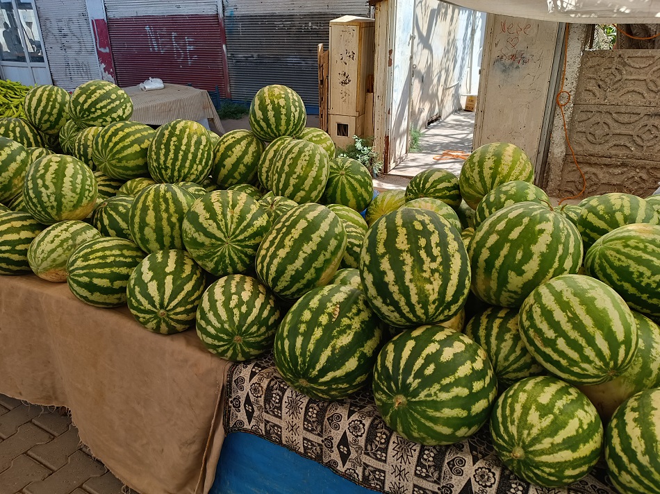 Piyasada Tokat karpuzu rüzgarı