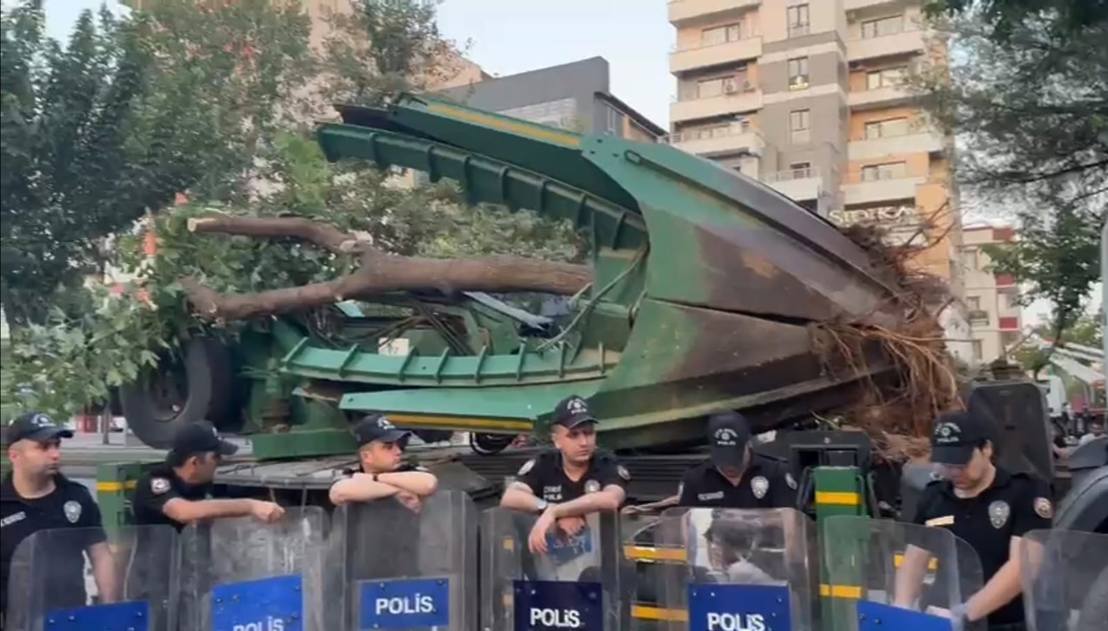Bulvarda ağaç sökme gerginliği
