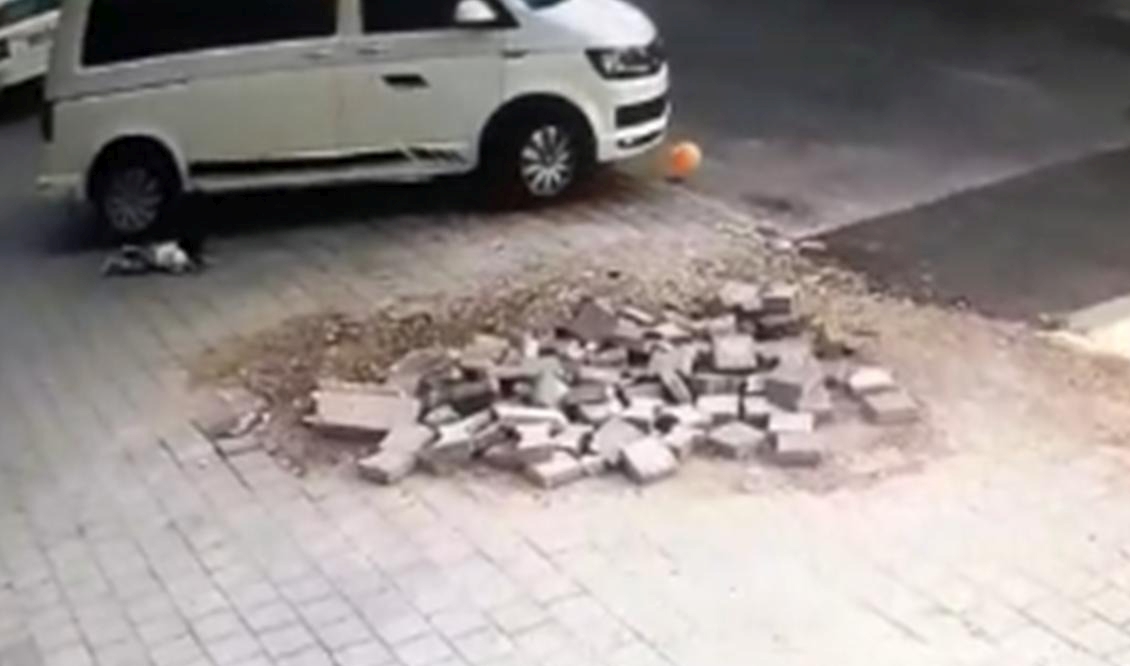 Yeğeninin ölümüne neden oldu
