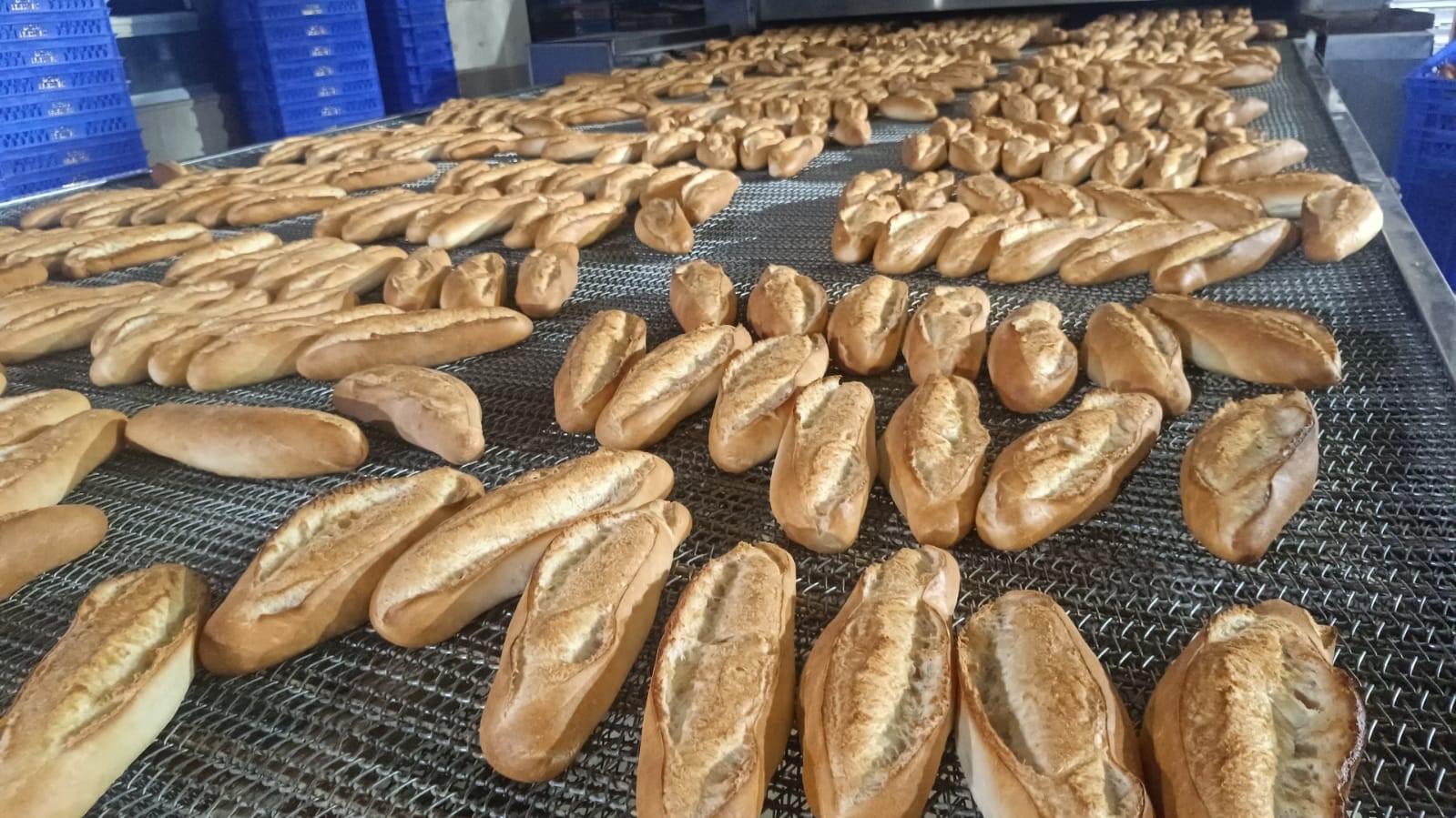 Günde 40 bin kişiye ücretsiz ekmek