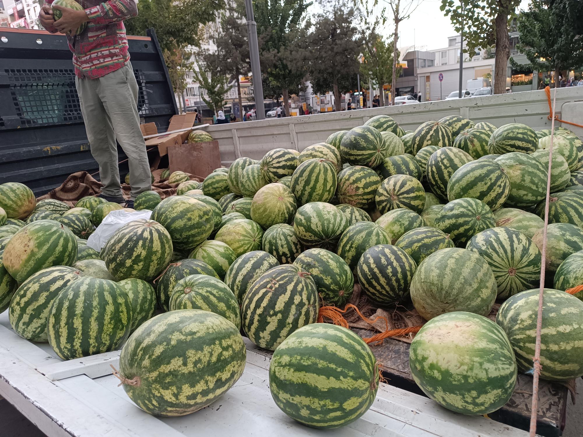 4 Adet karpuz 100 lira