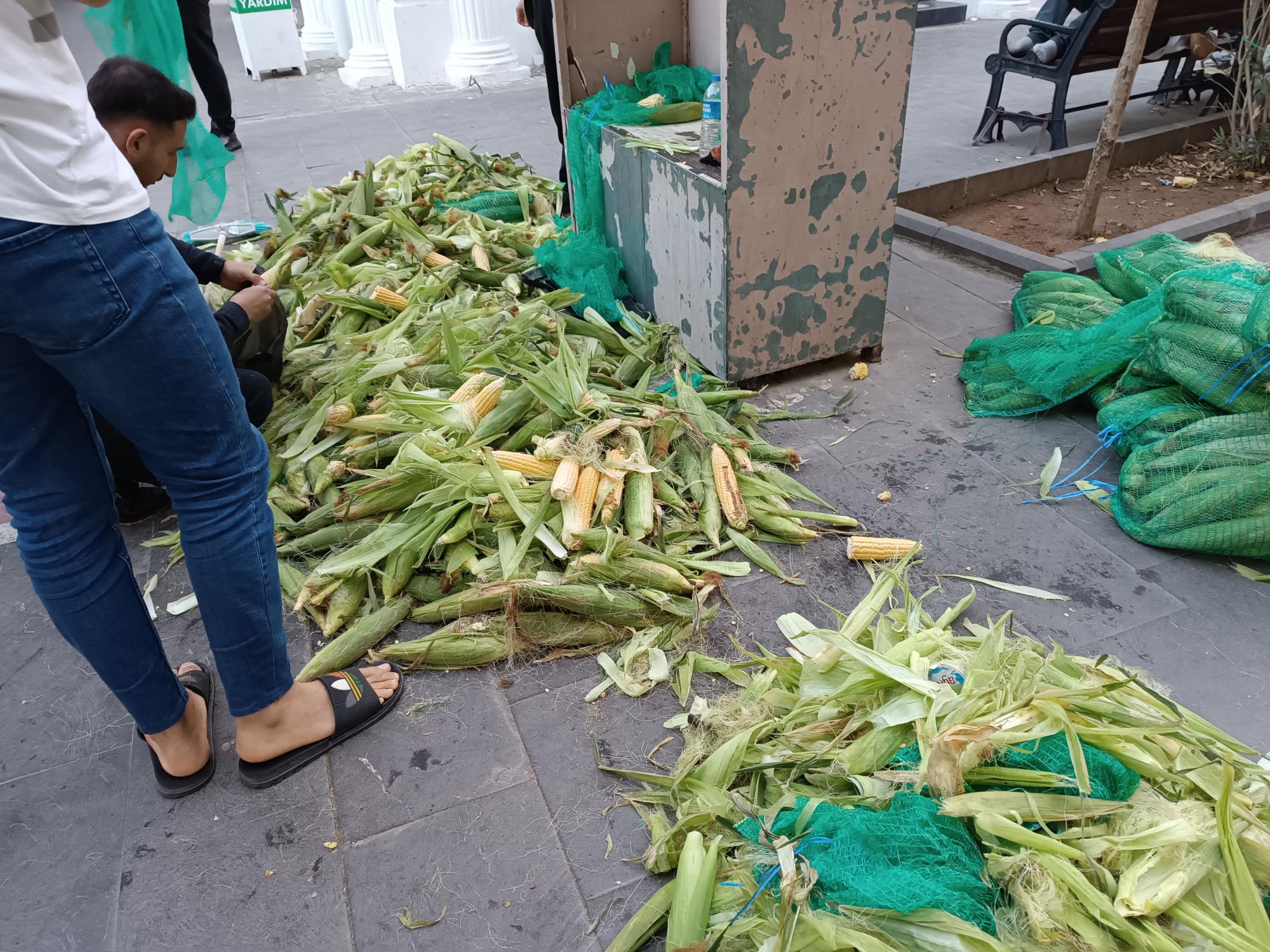 4 KOÇAN MISIR 50 LİRA