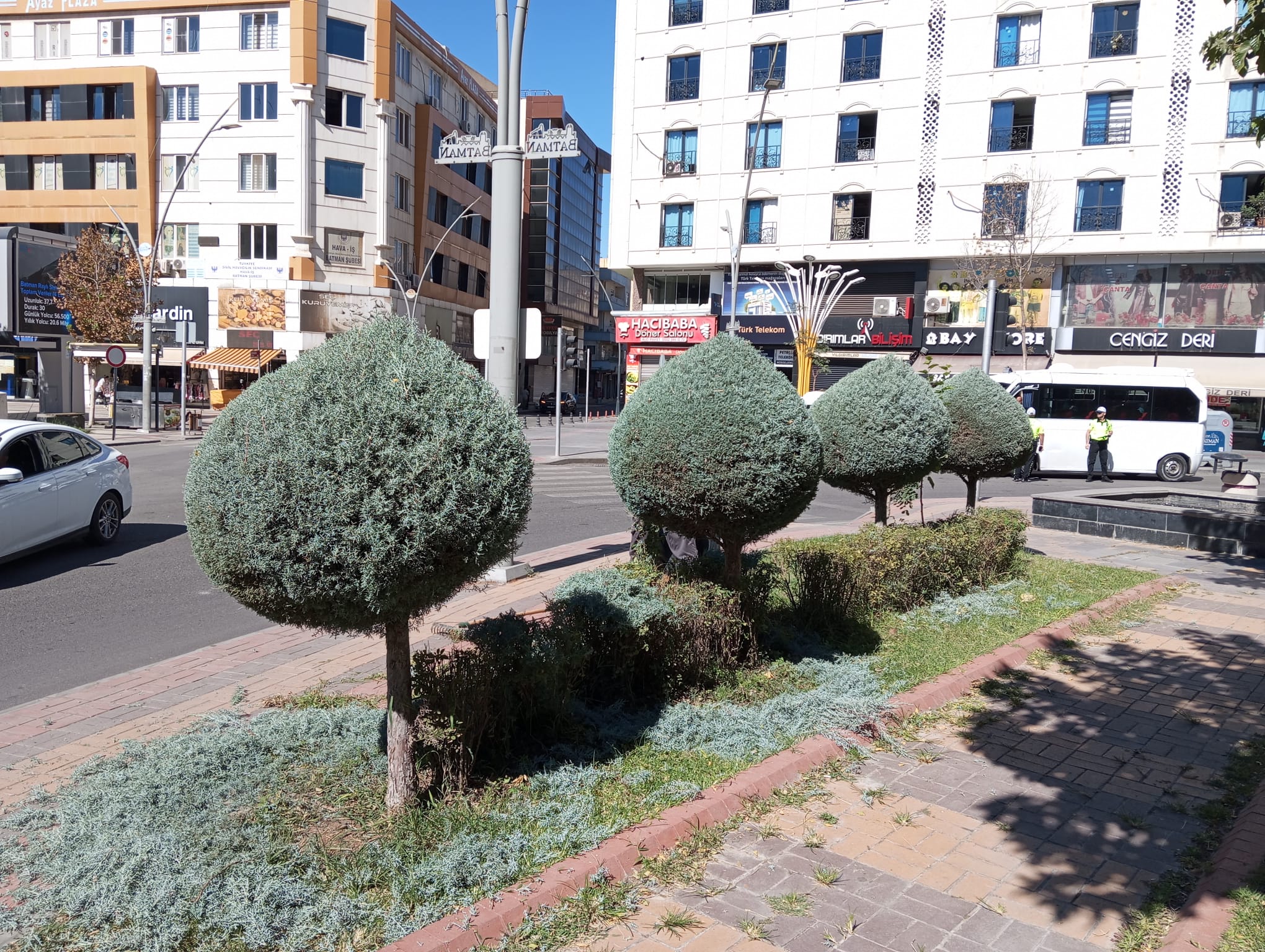 Ağaçlara estetik kazandırılıyor