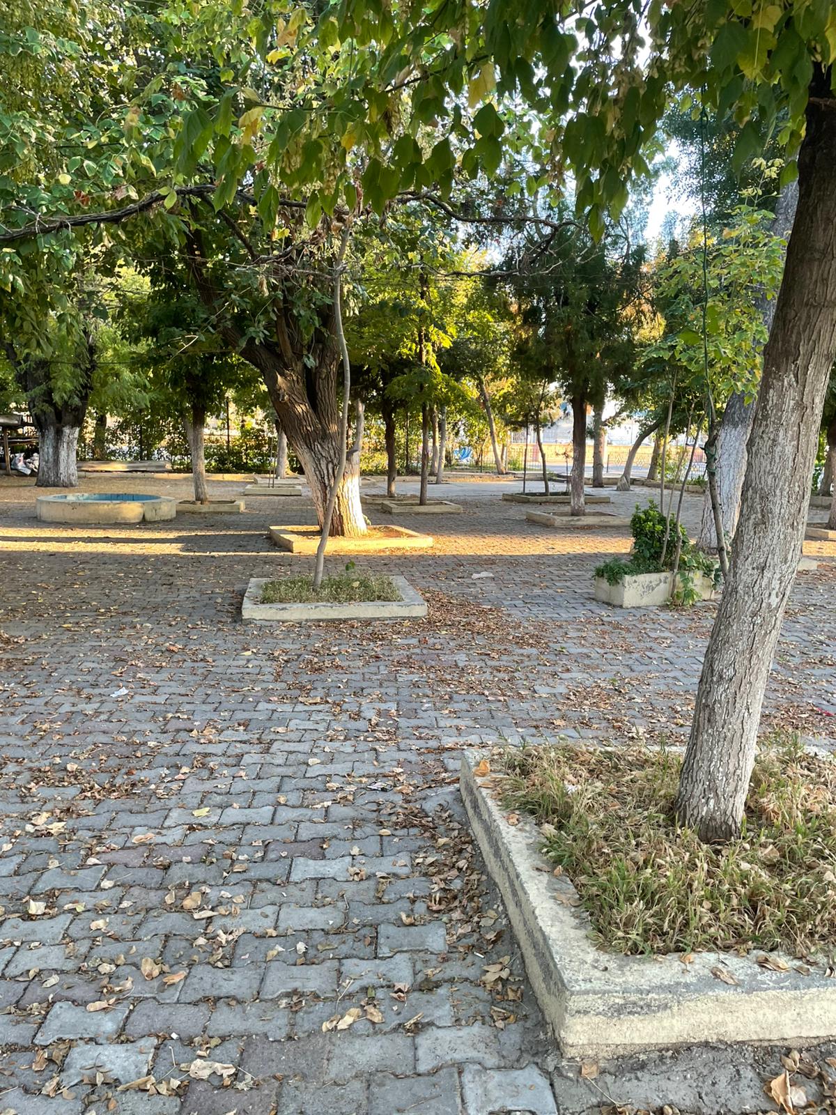 “Alt geçit uğruna asırlık ağaçlara kıymayın”