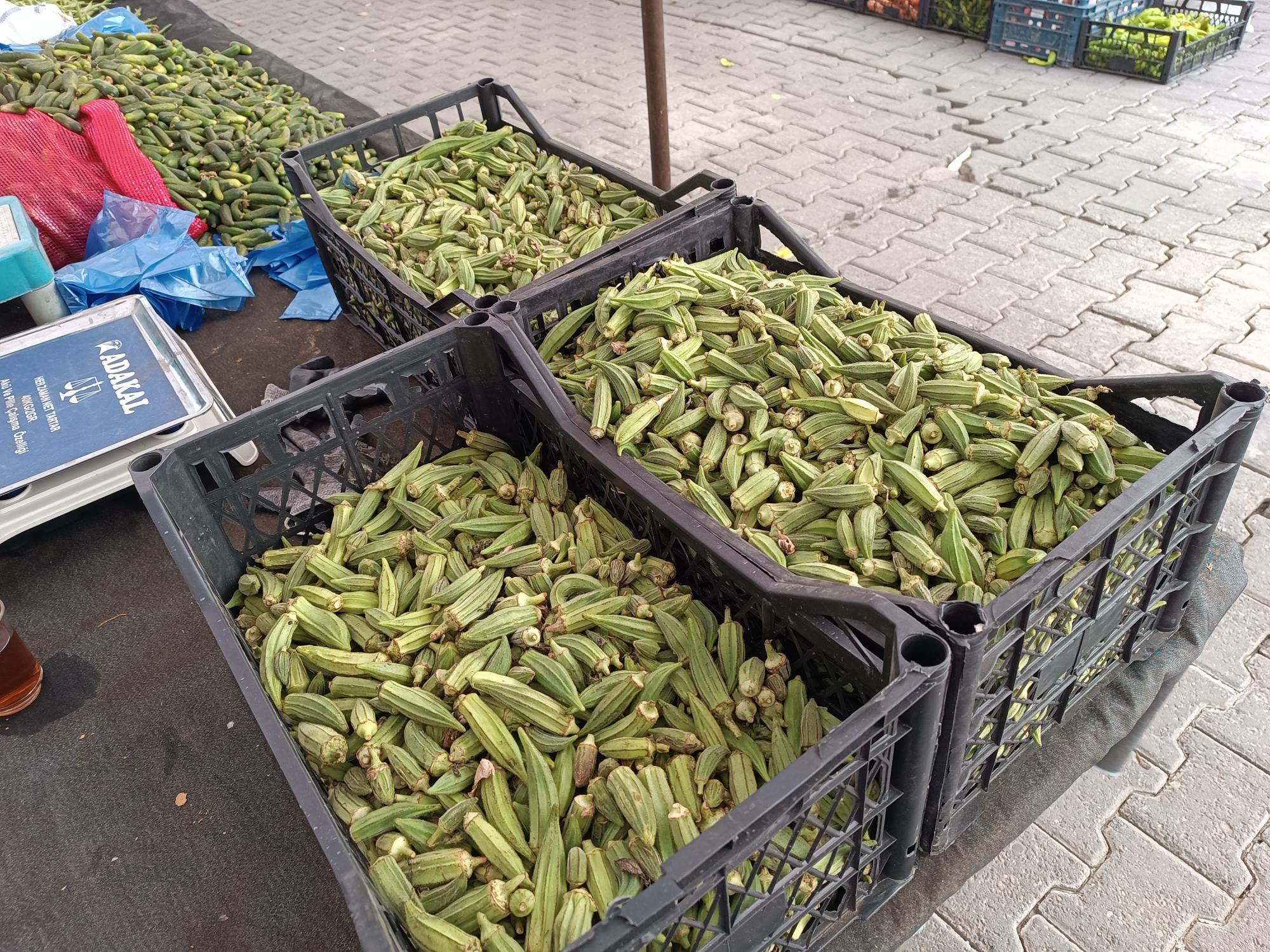 Bamya kilosu 120 lira