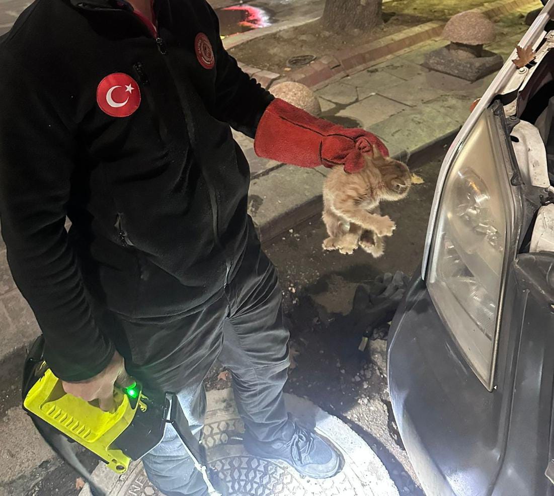 Belediye itfaiyesinden şefkat eli