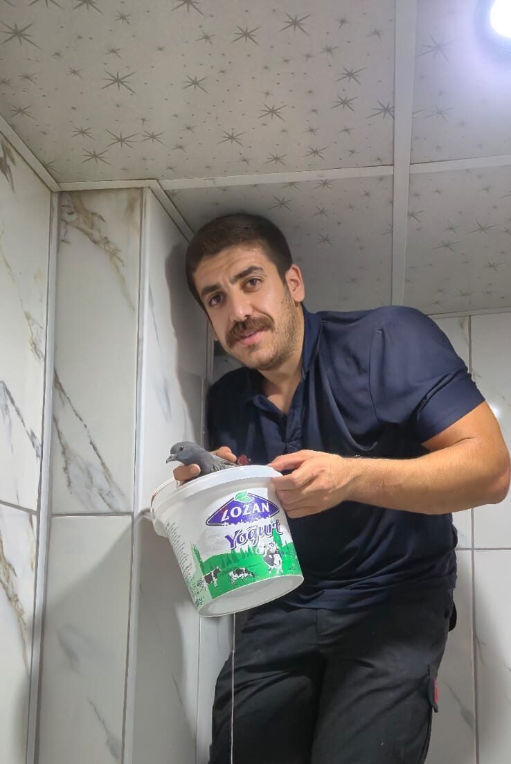 Binada sıkışan güvercin kurtarıldı