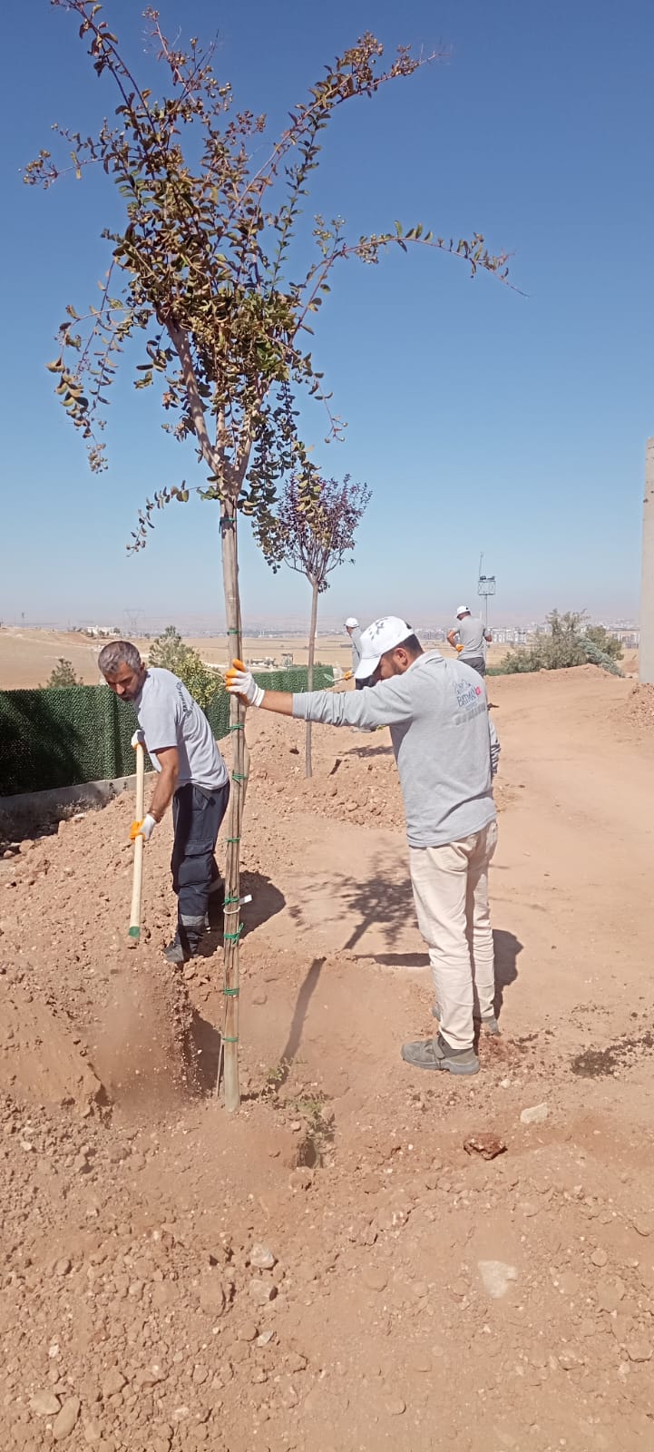 Fidanlar can dostlara armağan edildi