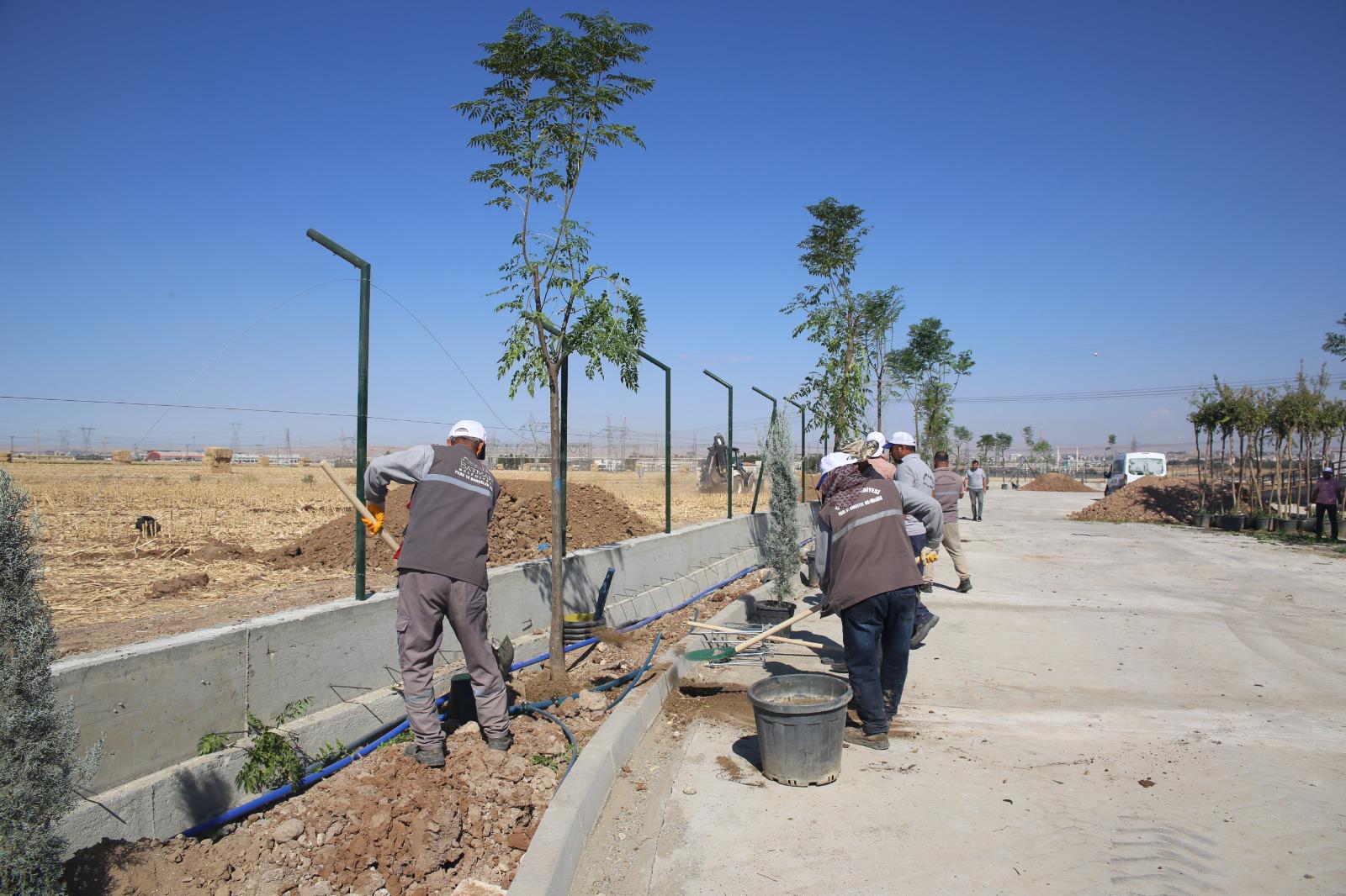 Fidanlar toprakla buluşturuluyor