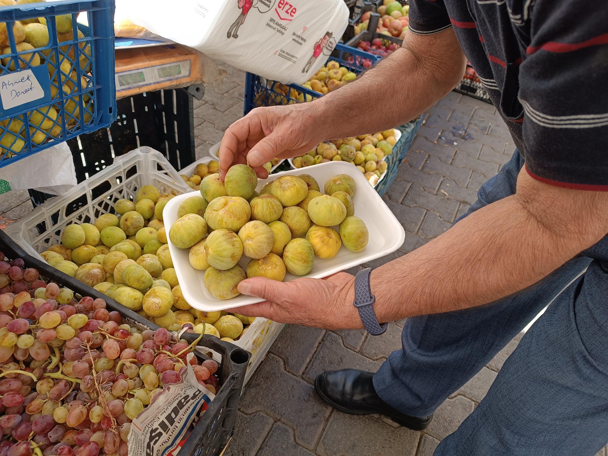 Hasankeyf incirine özel ilgi