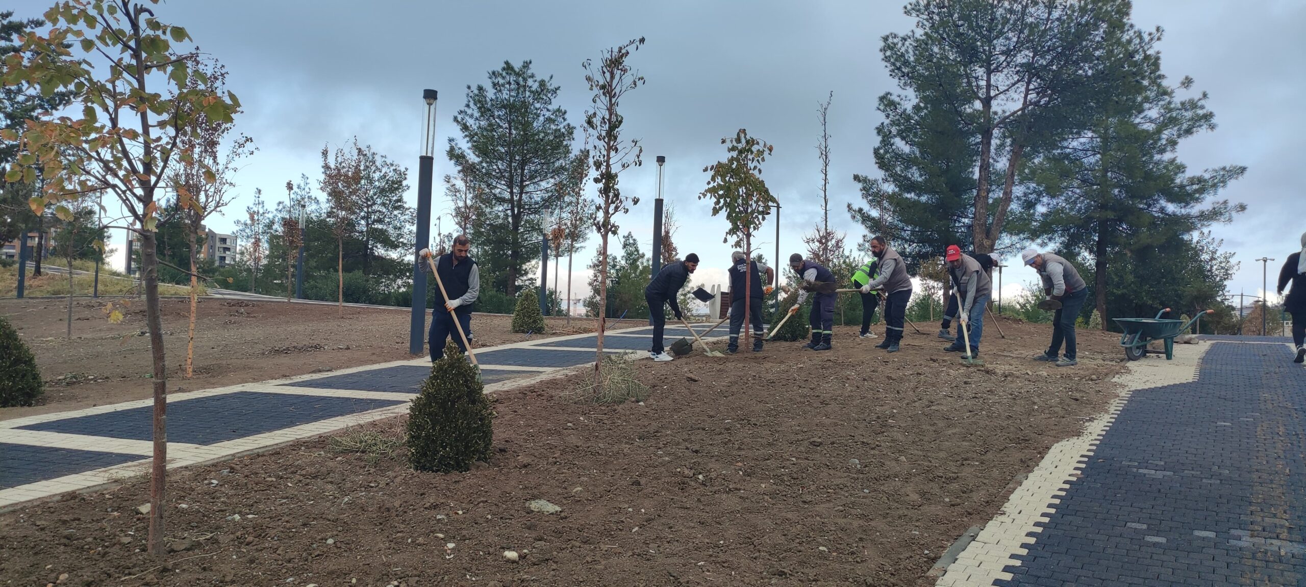 Kent ormanında peyzaj çalışmaları