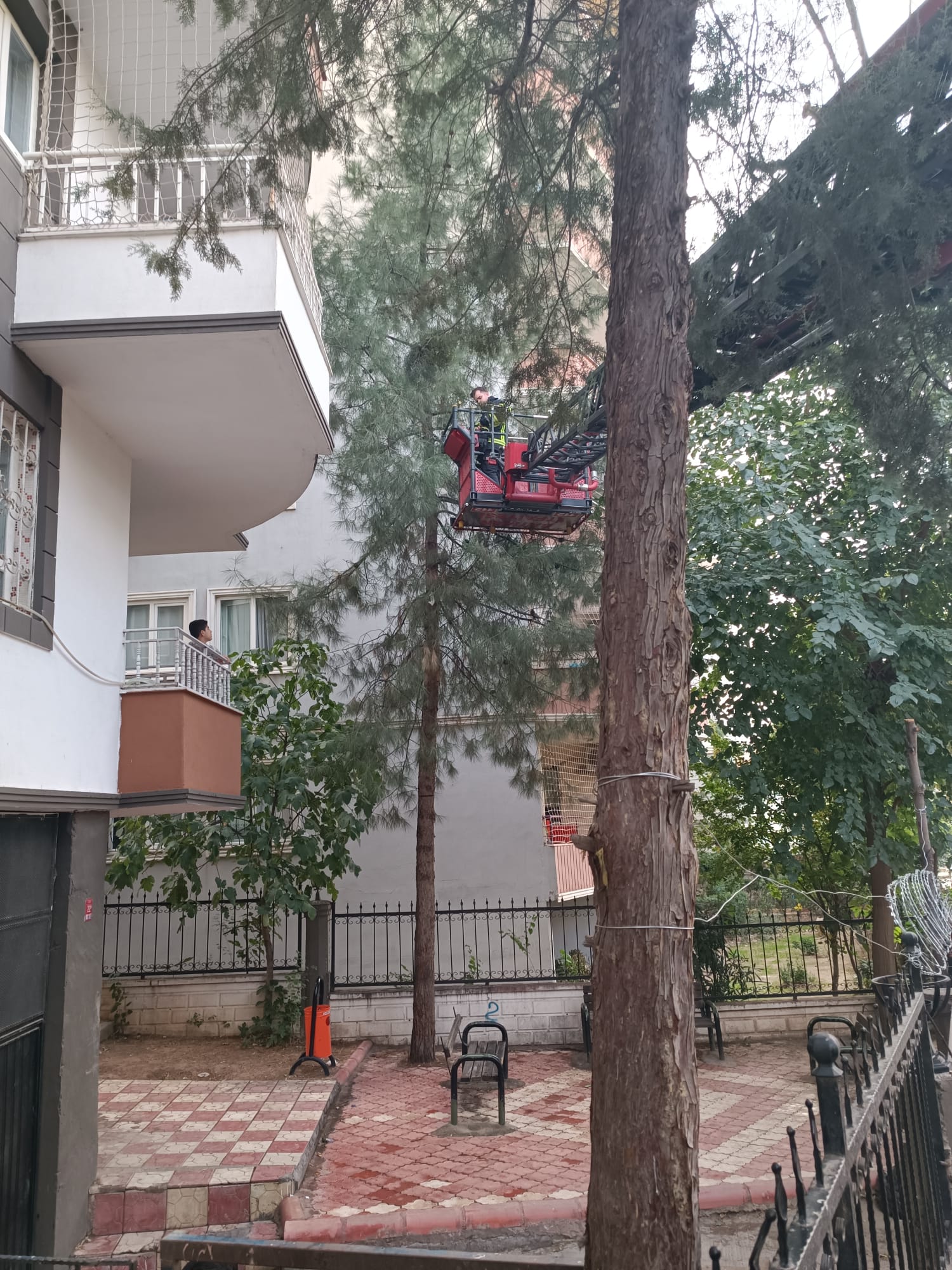 Mahsur kalan kediyi kurtardılar