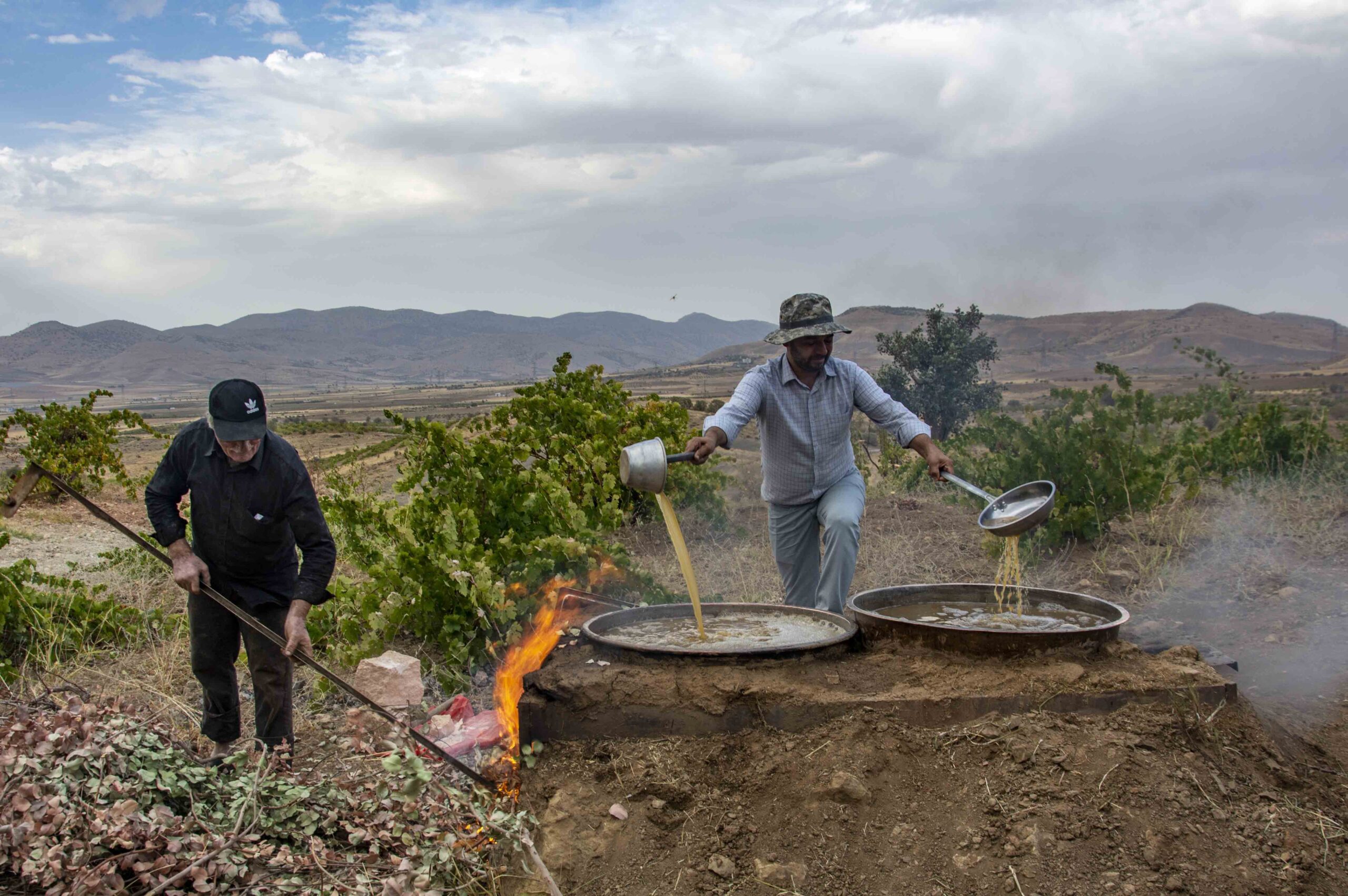Mezrone pekmezi yeniden kazanlarda!