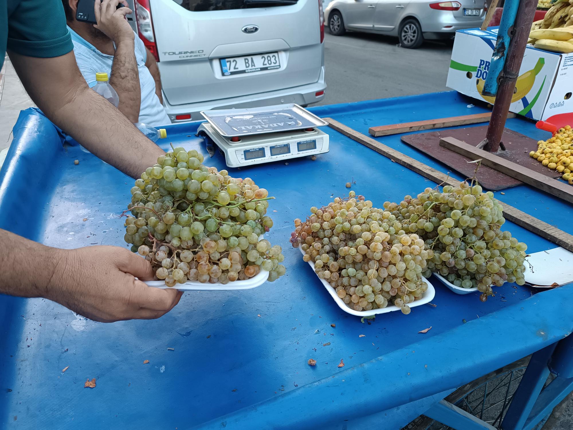 Mezrone üzümleri tezgahlarda