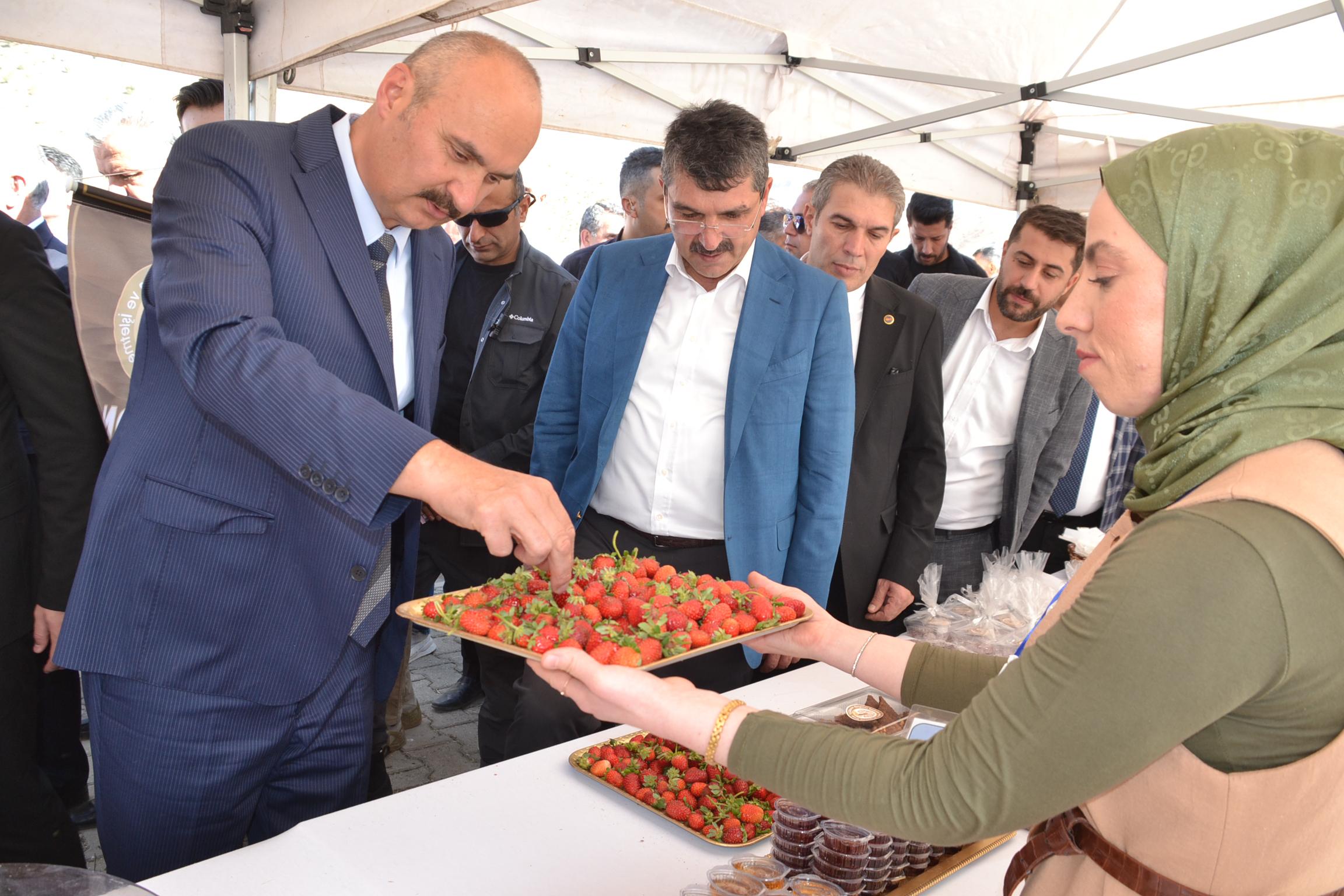 Sason’da festival coşkusu