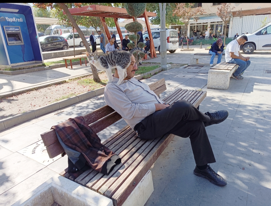 Tebessüm ettiren sahne