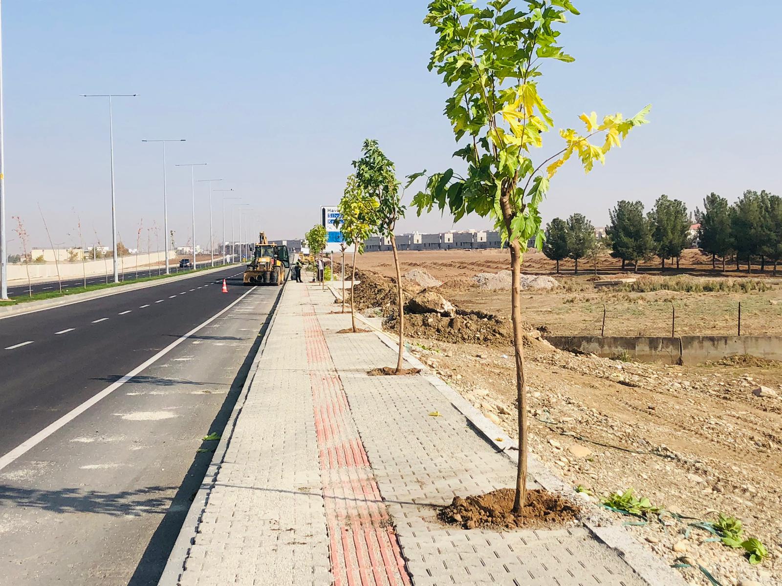 550 Ağaç toprakla buluşuyor