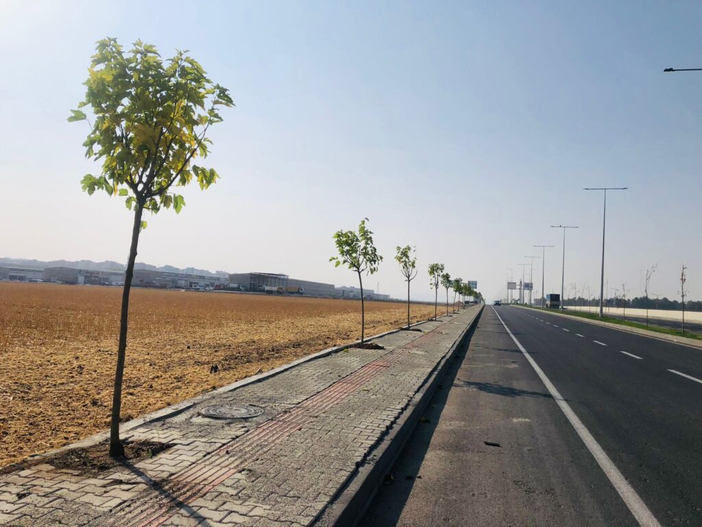 550 Ağaç toprakla buluşuyor