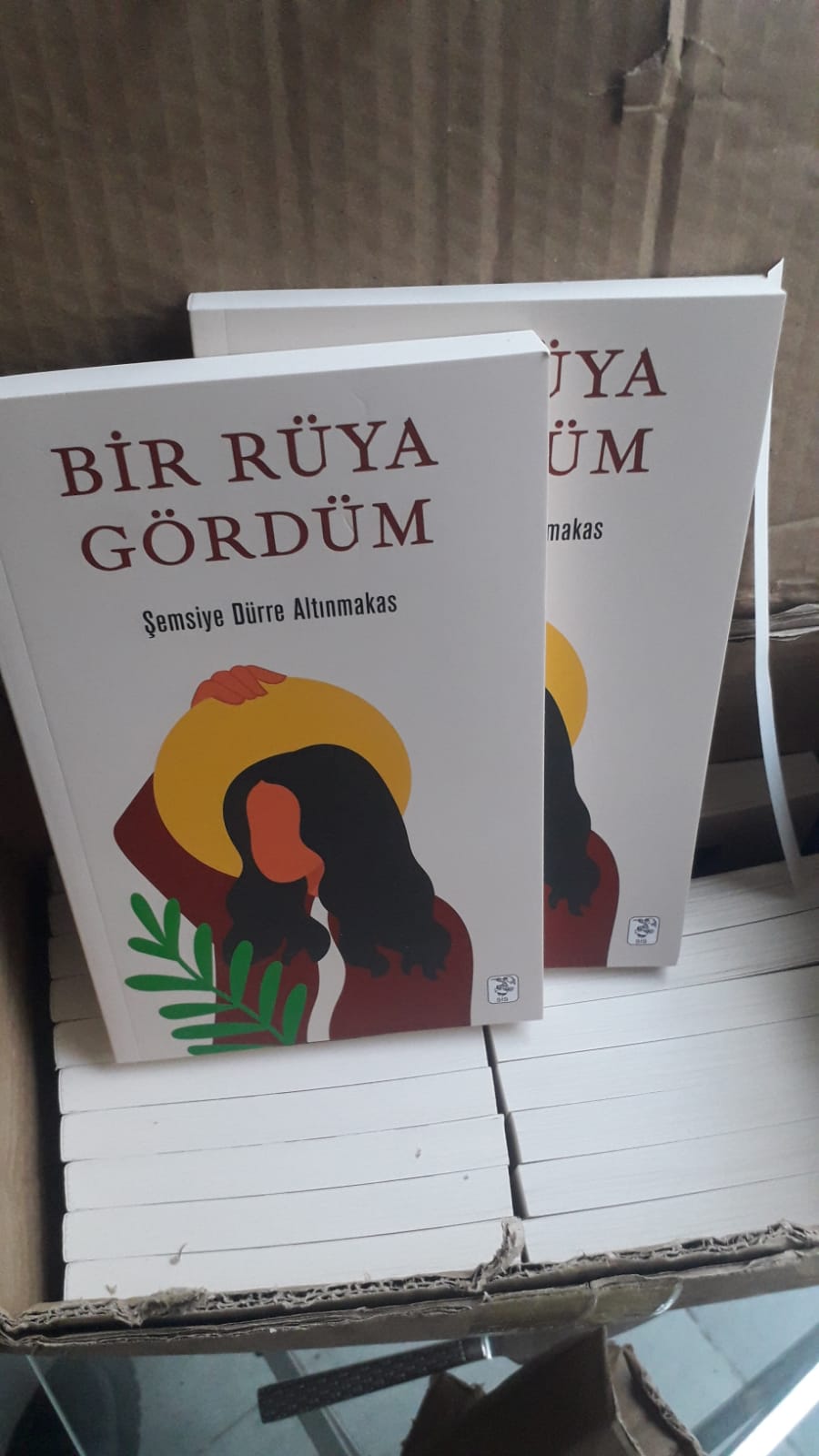 “Bir Rüya Gördüm” romanı raflarda