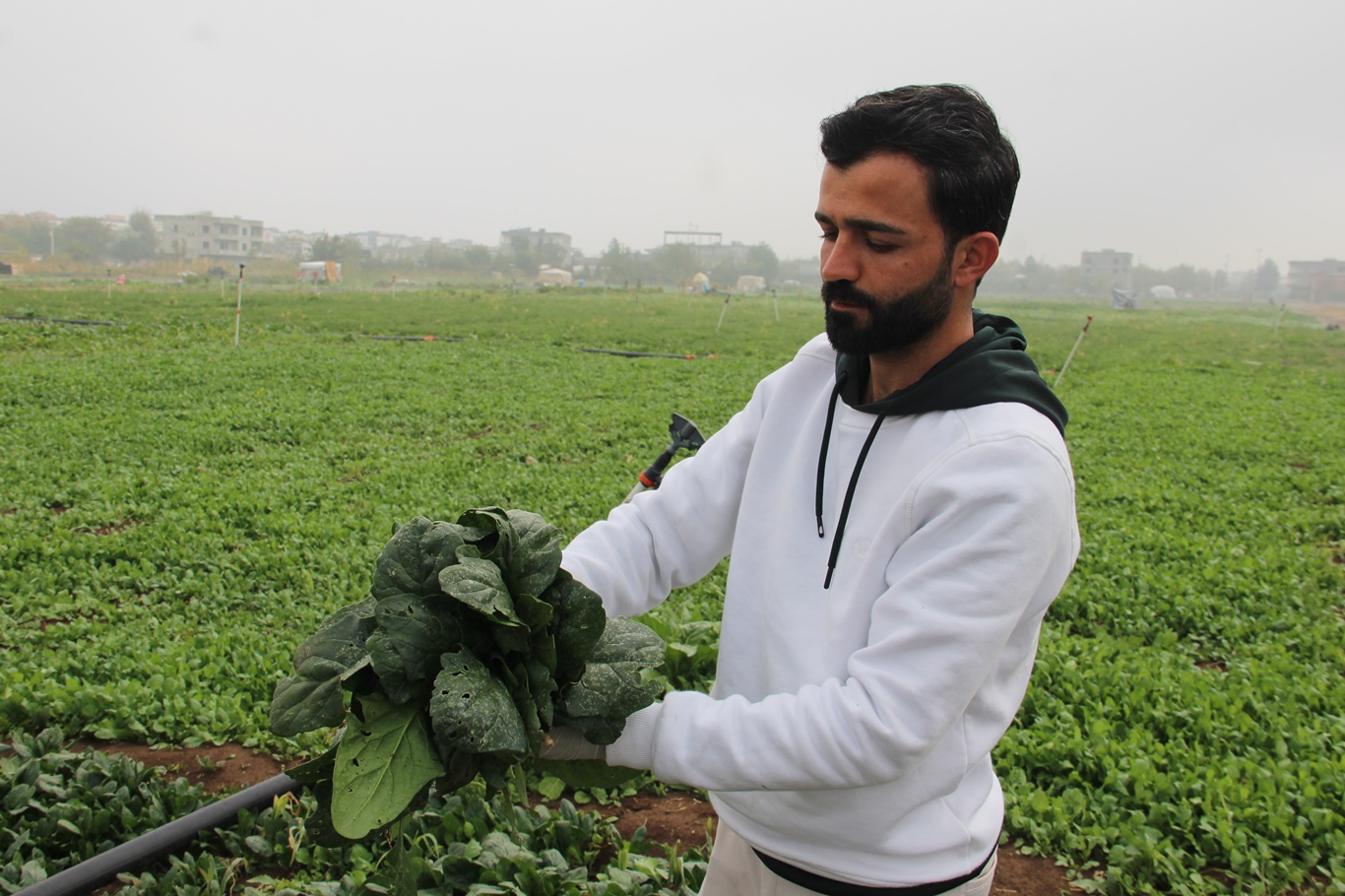 Dolu yağışı tahribata yol açtı