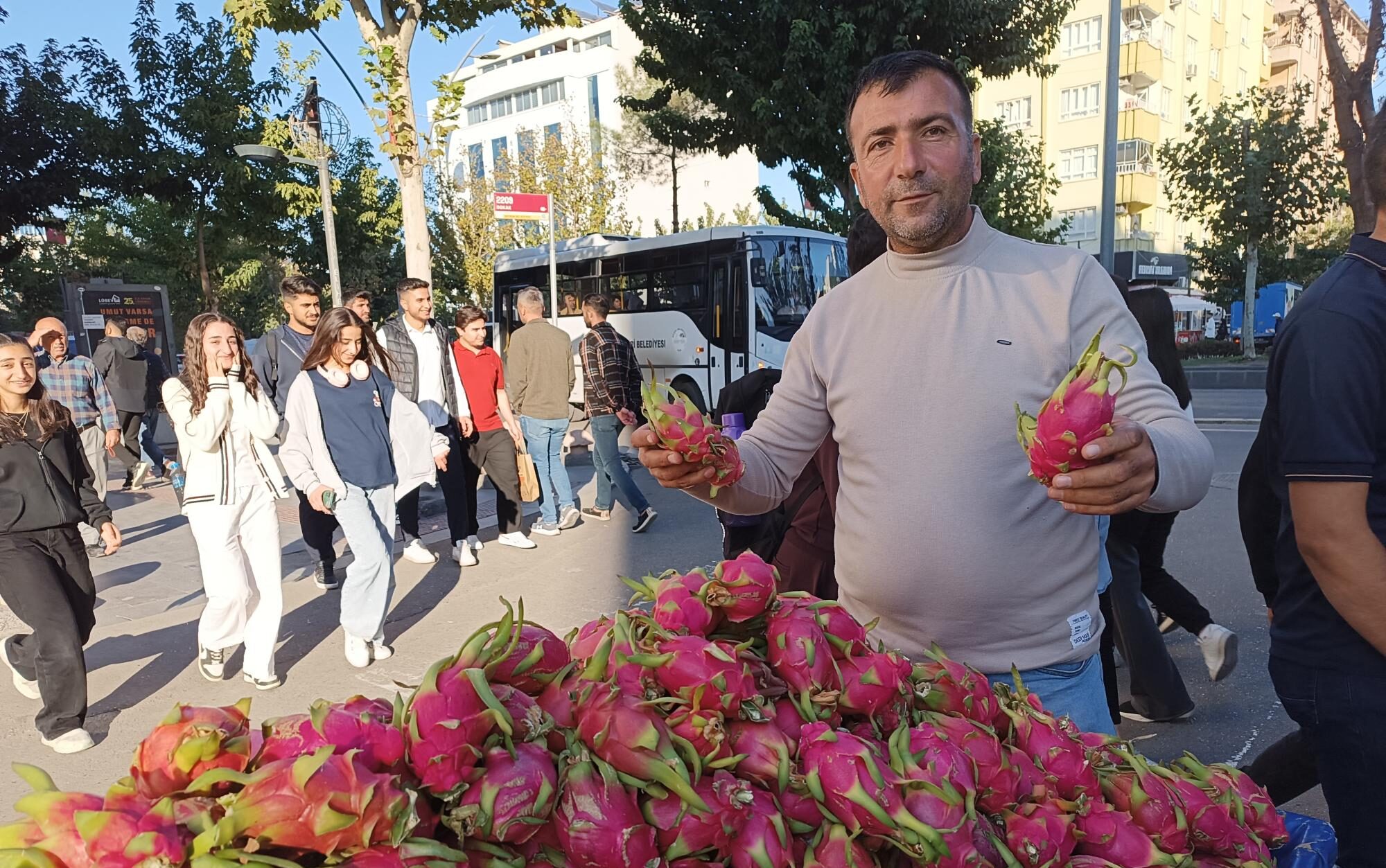 Ejder meyvesine yoğun ilgi
